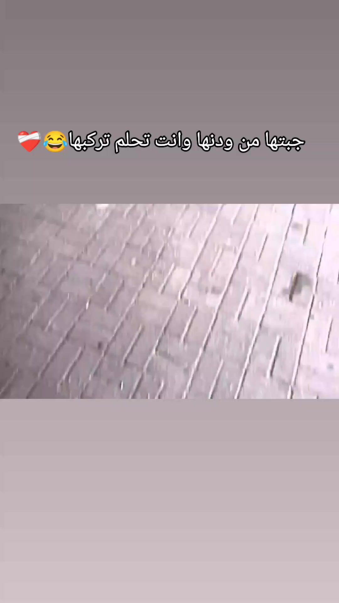 @ولد _عيت_ الشاوش ❤️🔥