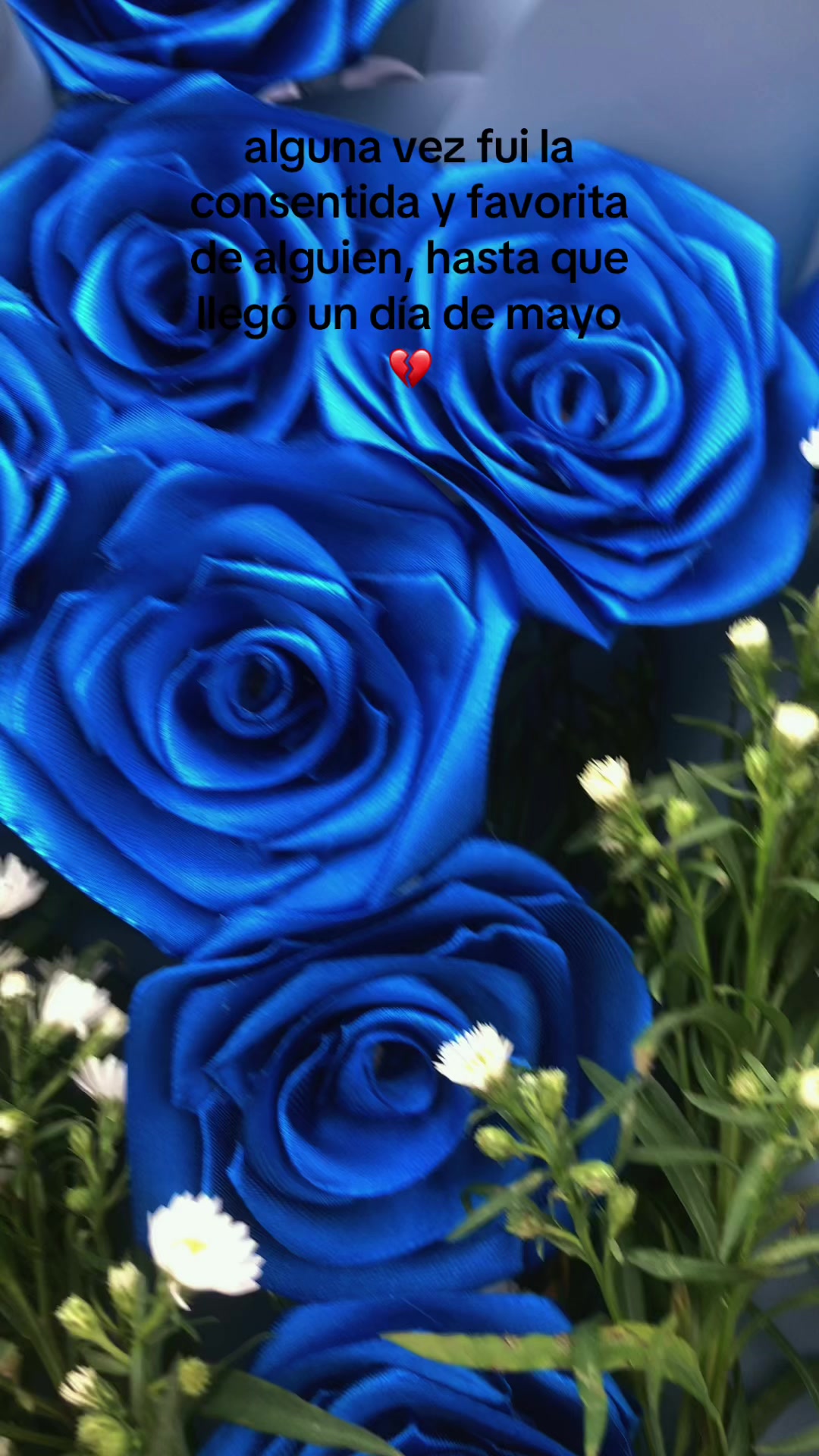@𝑁𝓪𝓵𝔂 