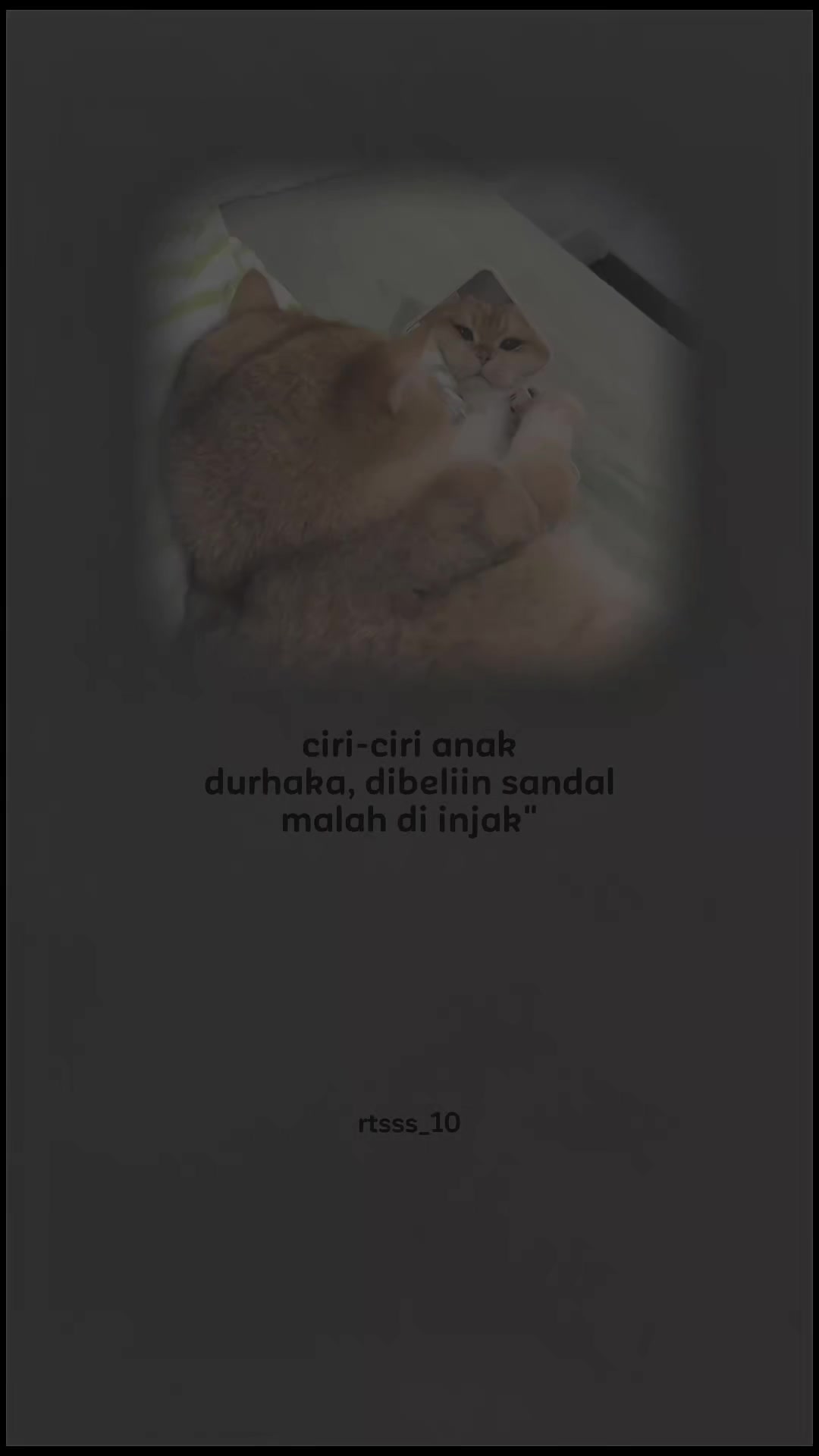 @ratsss