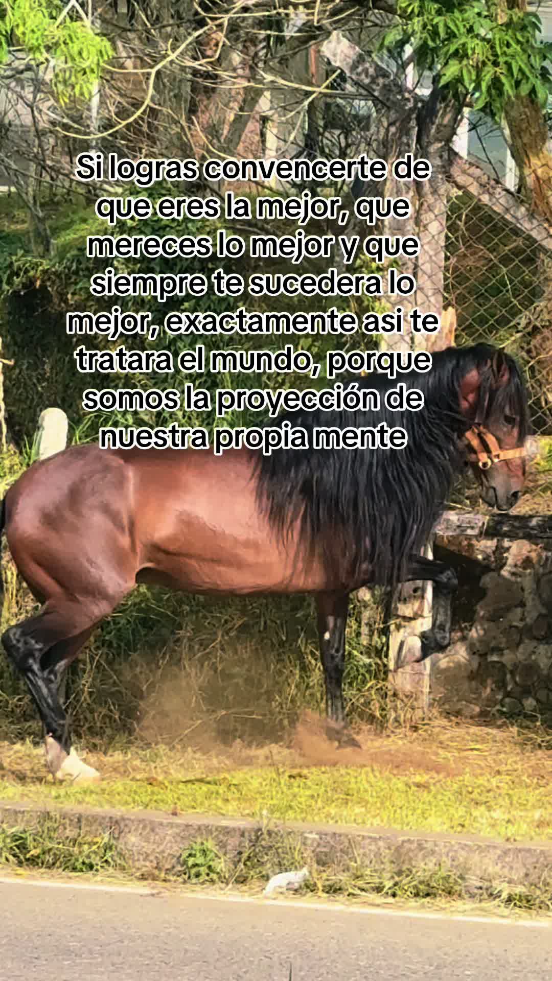@EUGENIA BELTR&Aacute;N