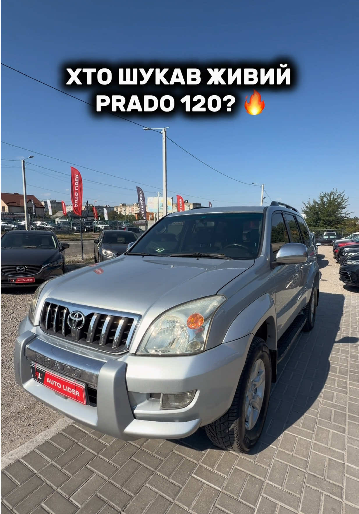 @Auto Lider