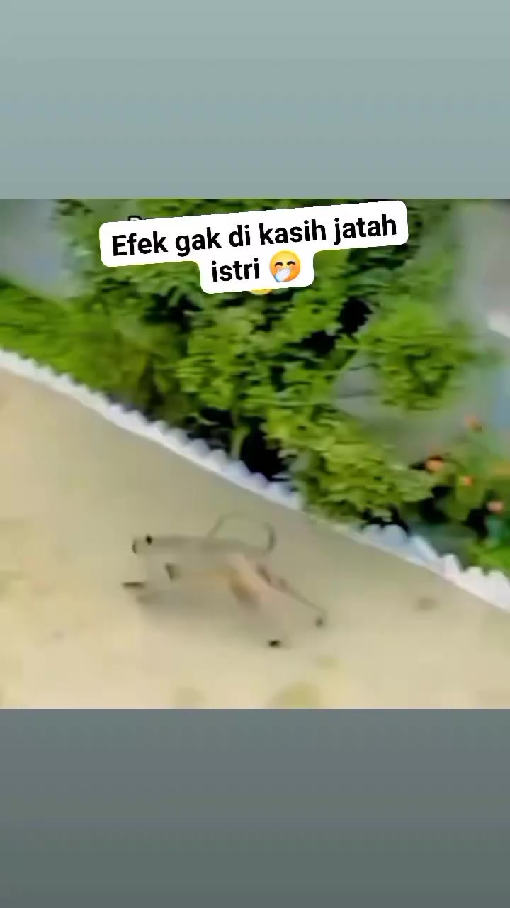 @hendra panji N