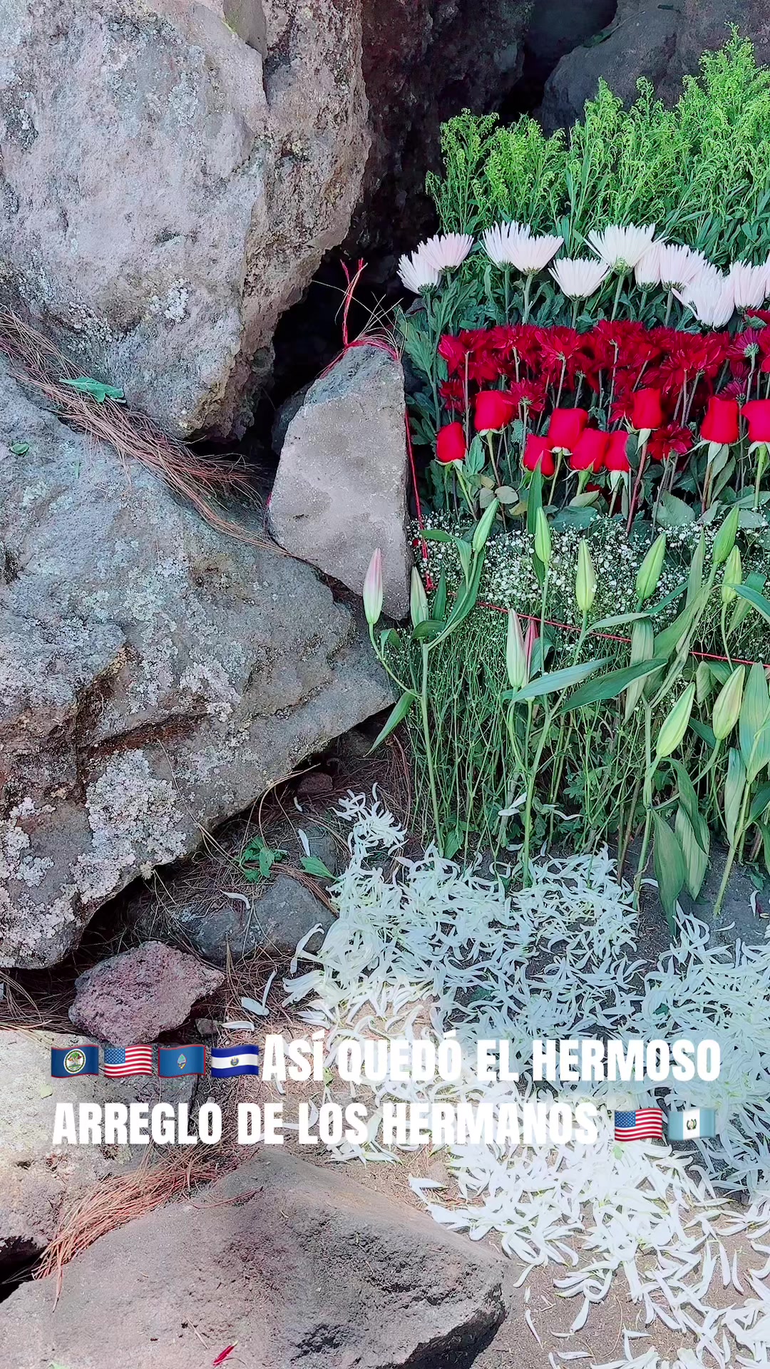 @Evangelista Sergio Gomez