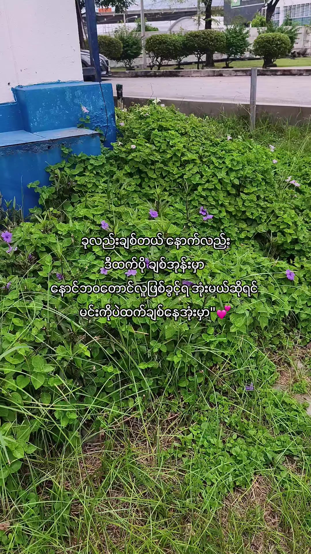@Zð§žàŸàœ²