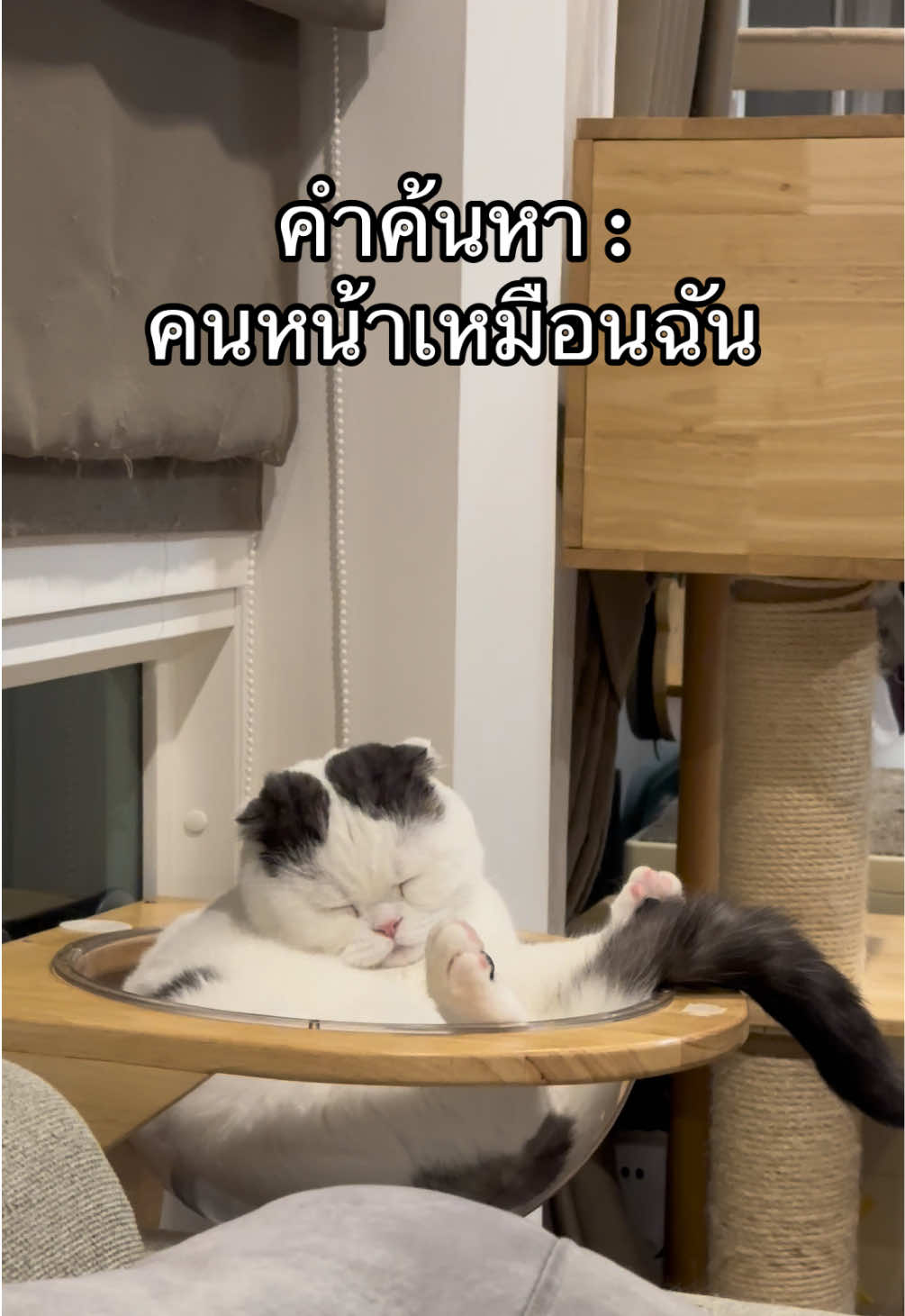@เยอร์เก้นอยากเป็นดารา