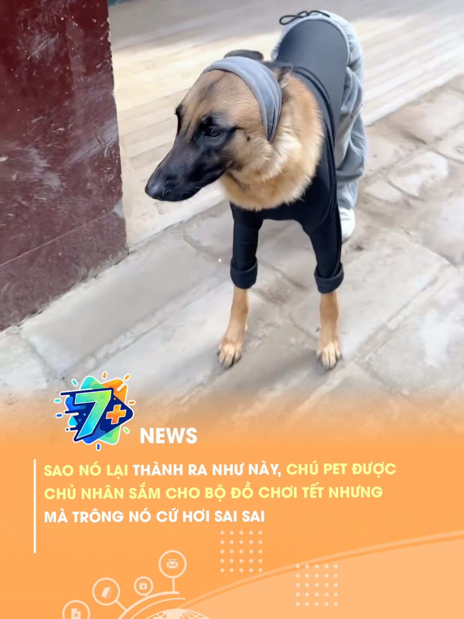 @7 Plus News