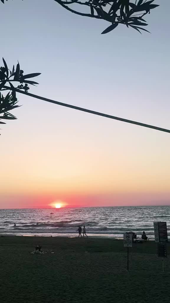 @Güneşnevzat0766