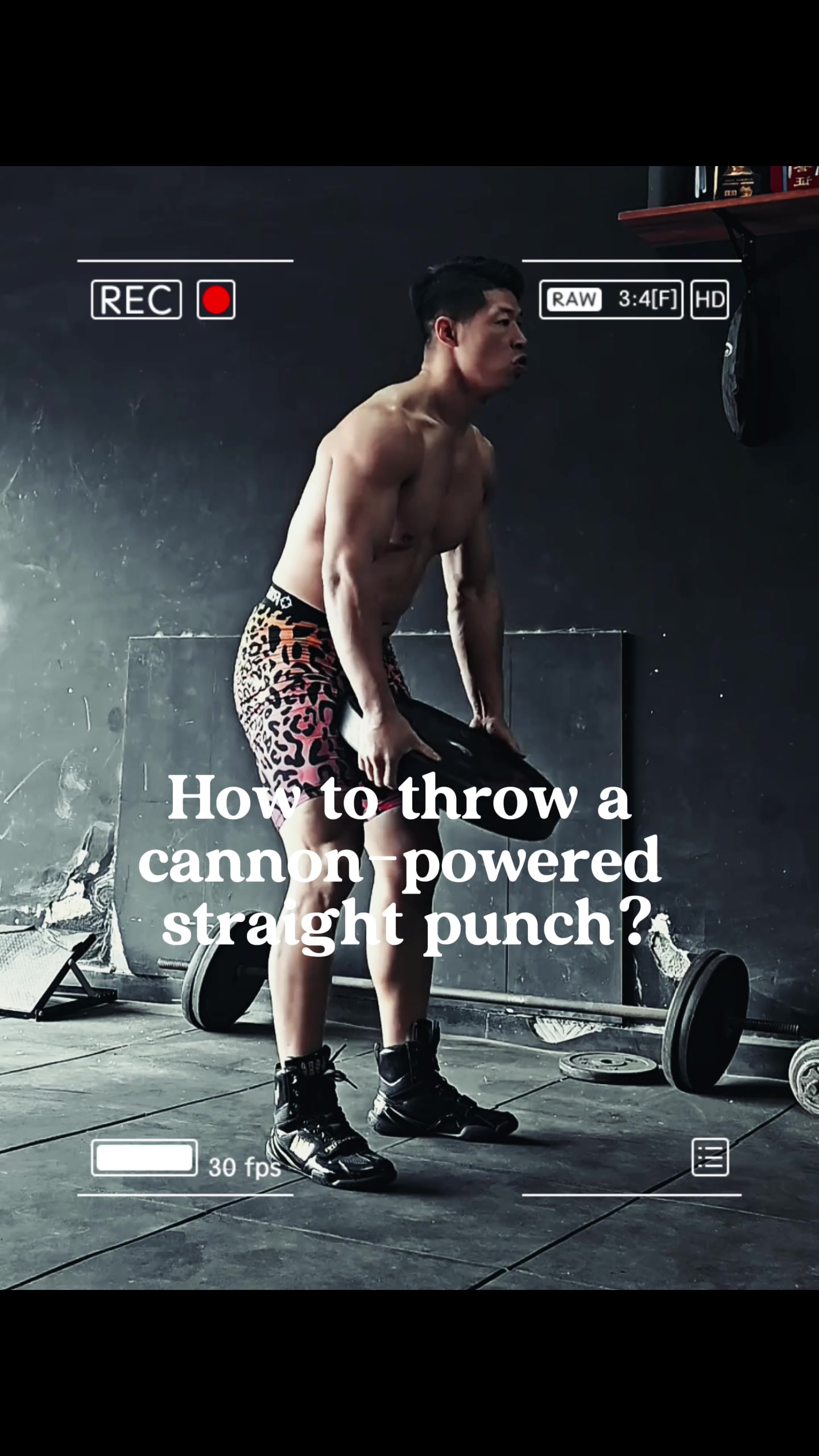 @Boboxing