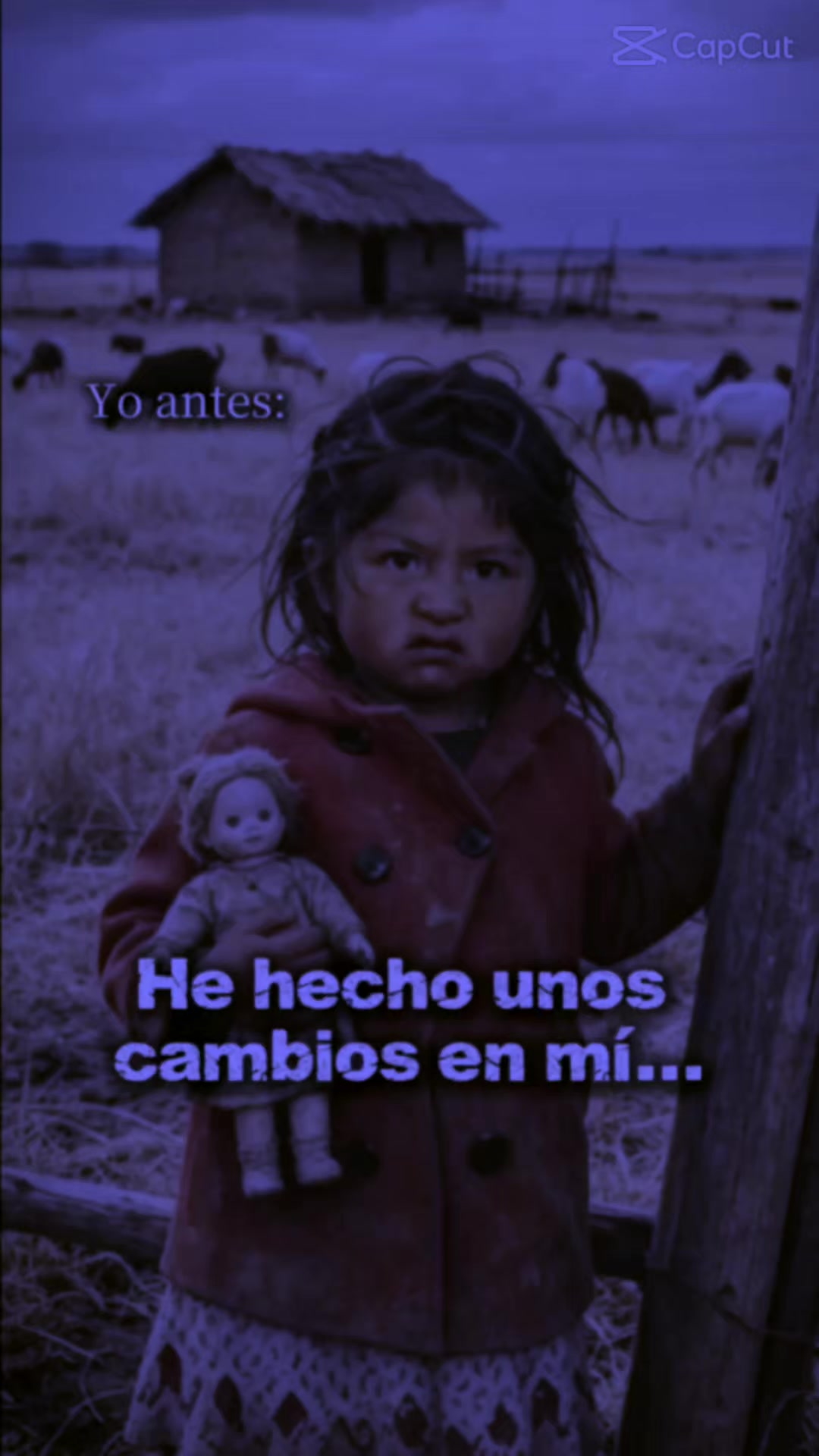@]<@₩&iexcl;🫀《🌻》