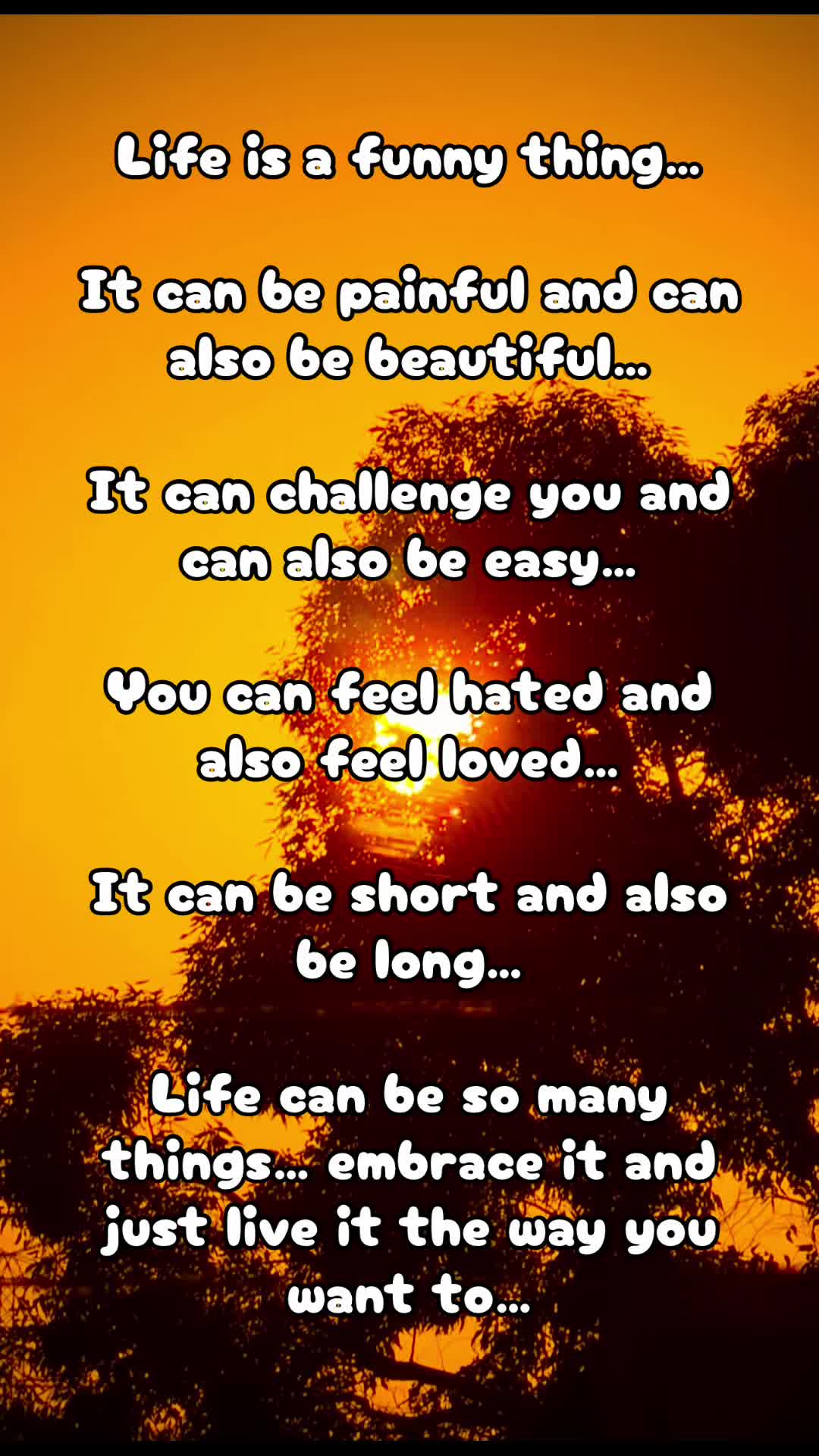 @Dreamer2025