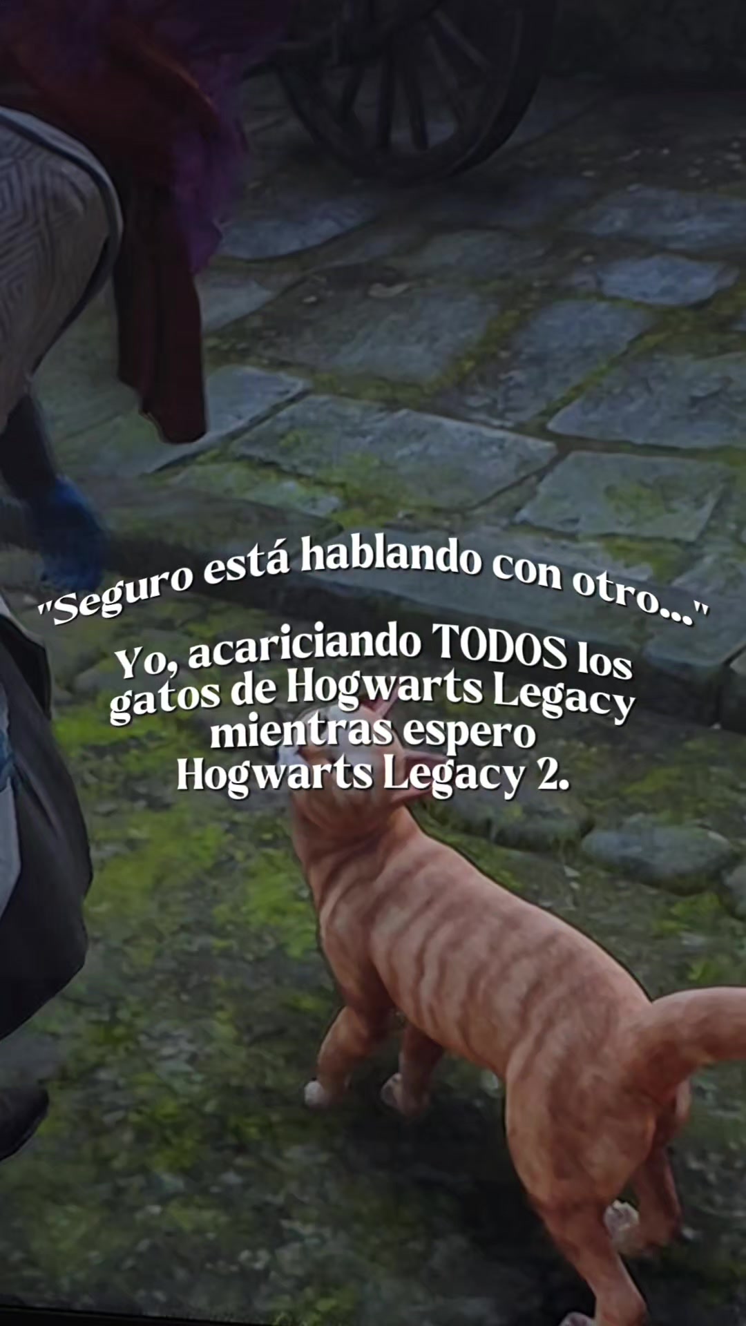 @Dafne Cuevas
