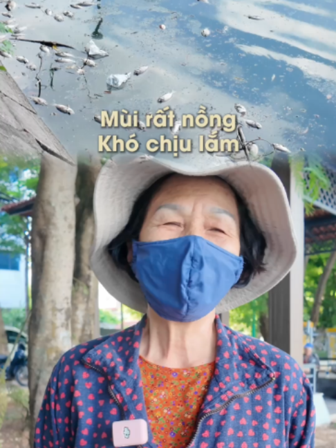 @Tin tức 24/7