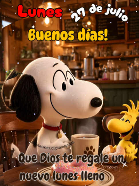 @adachajon.gt