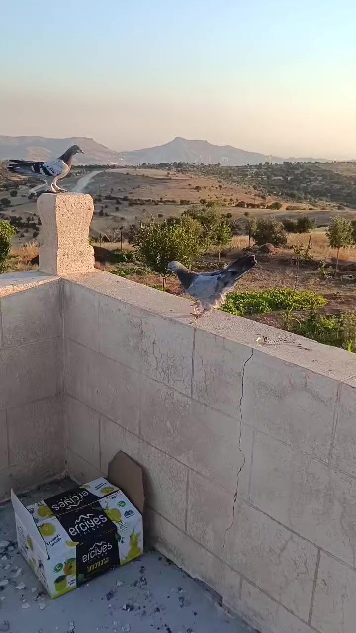 @Murat çokan