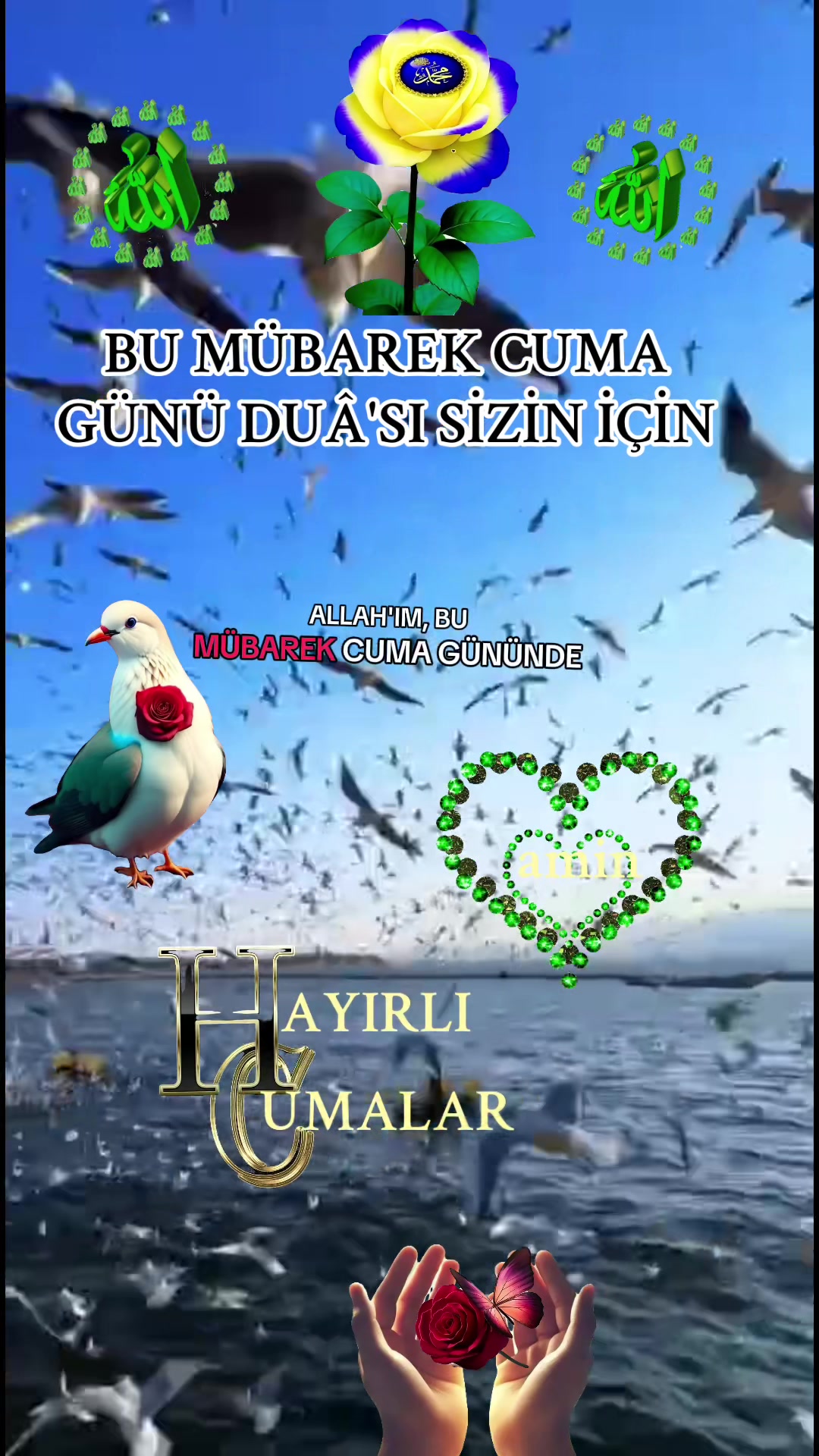 @NAKŞİ💚🕊💚AİLESİ🌹EMİNE🌹