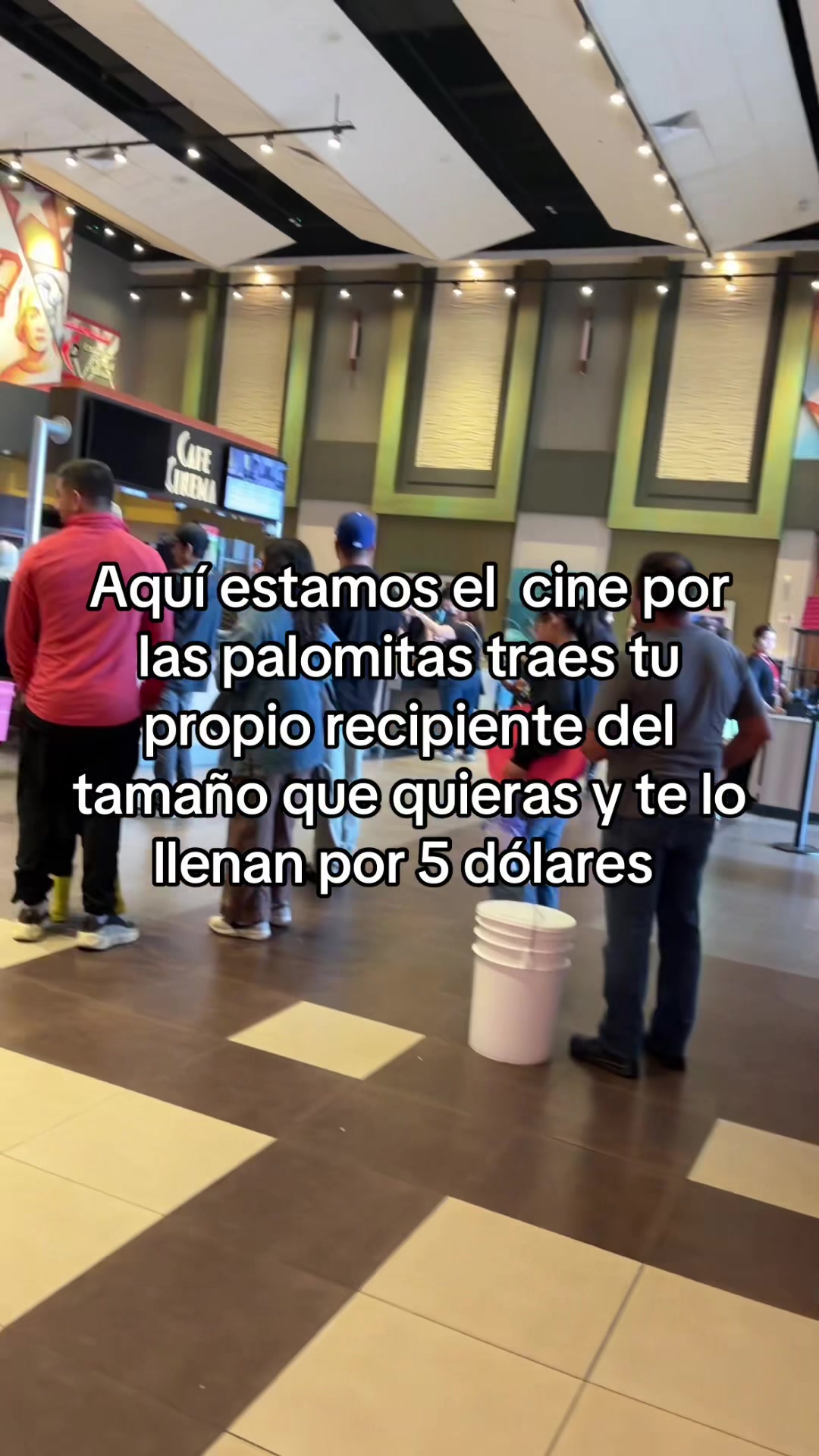 @Alma Baez295