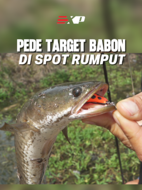 @Si Pemburu Gabus