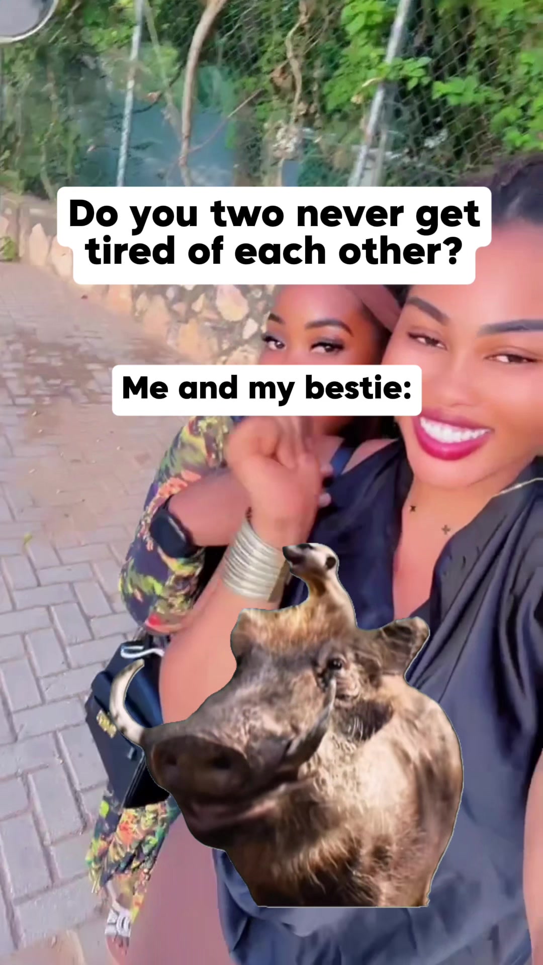 @AbenaJanet😍🥰