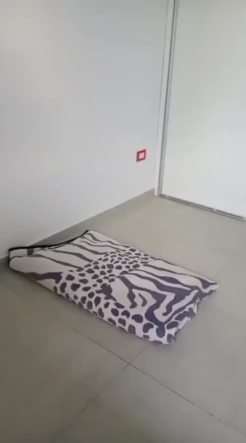 @MarSol Sanchez