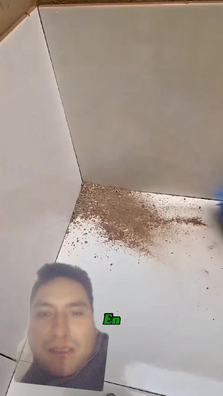 @albañiles de Puebla y pintores