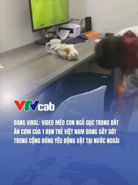 @VTVcab Trending - Giải trí