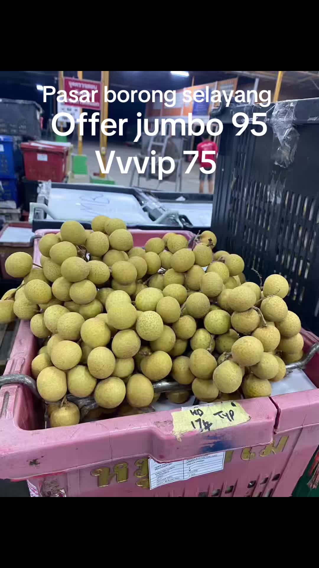 @DAU533