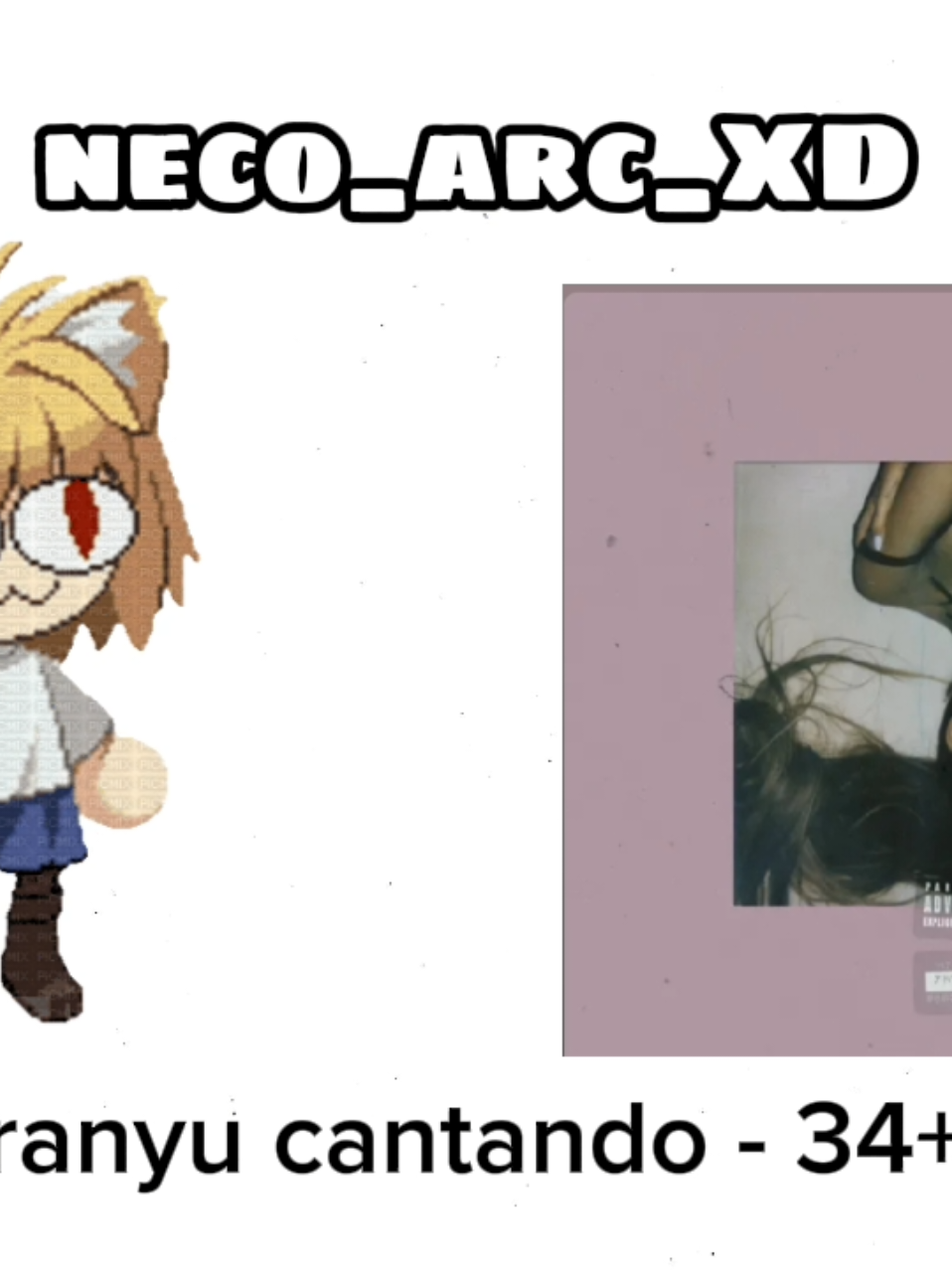 @neco_arc_XD