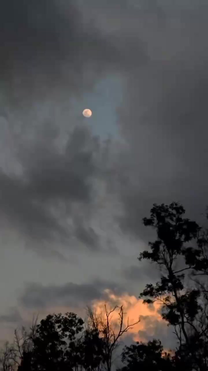 @𝐒ᡣ𐭩࣪⋆