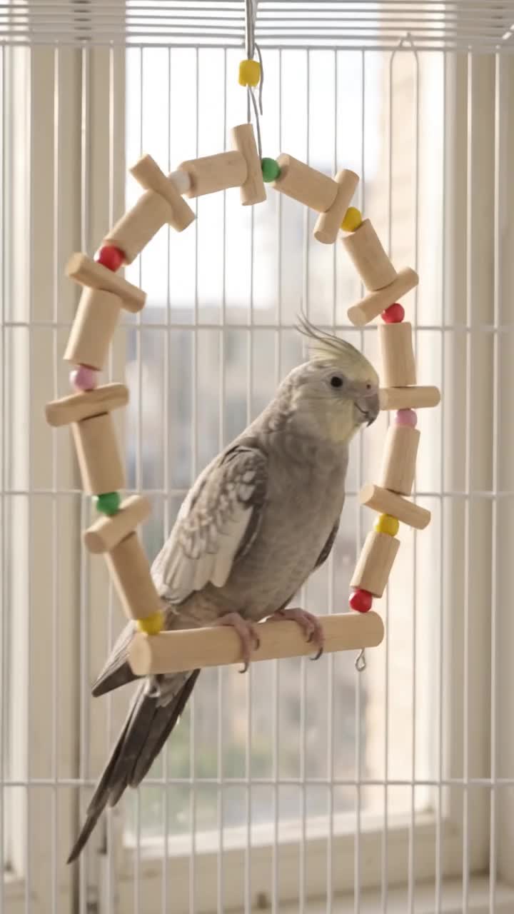 @✨️𝓛𝓾𝓷𝓪 𝓢𝓱𝓸𝓹 ✨