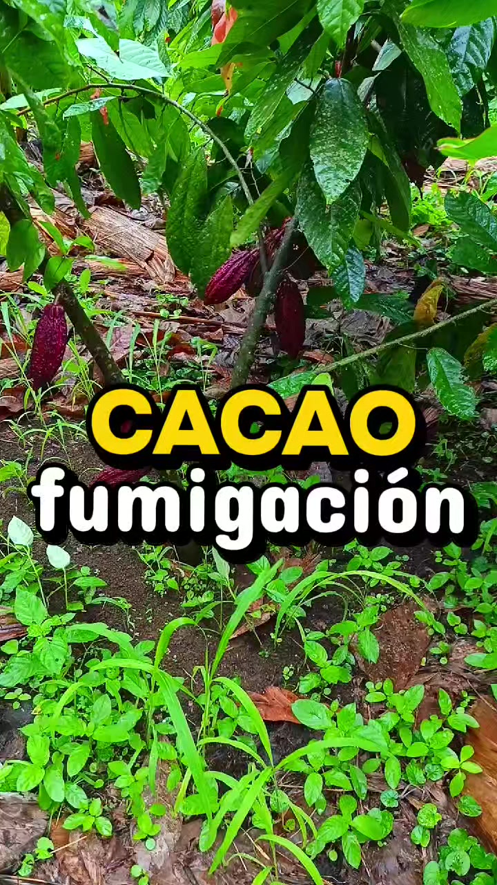 @Enrique Togan