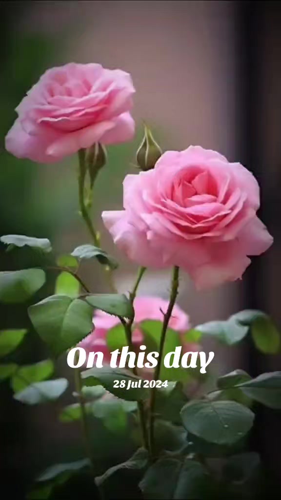 @yo nichu 123