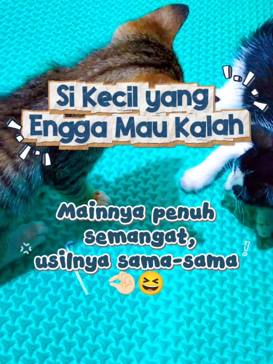 @Bollu