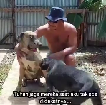 @indonesian_dog_lover