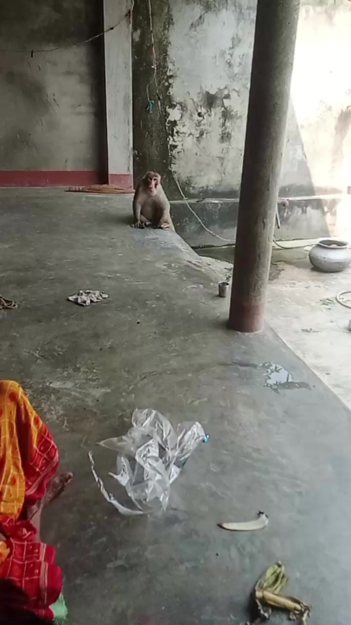@krishna Sarkhar