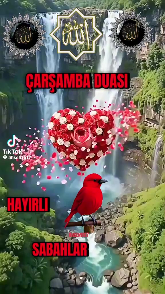 @💢BAHRİCAN💢