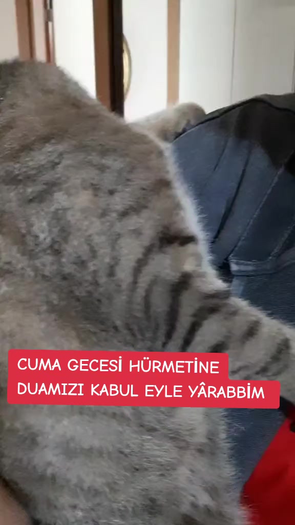 @naciye78