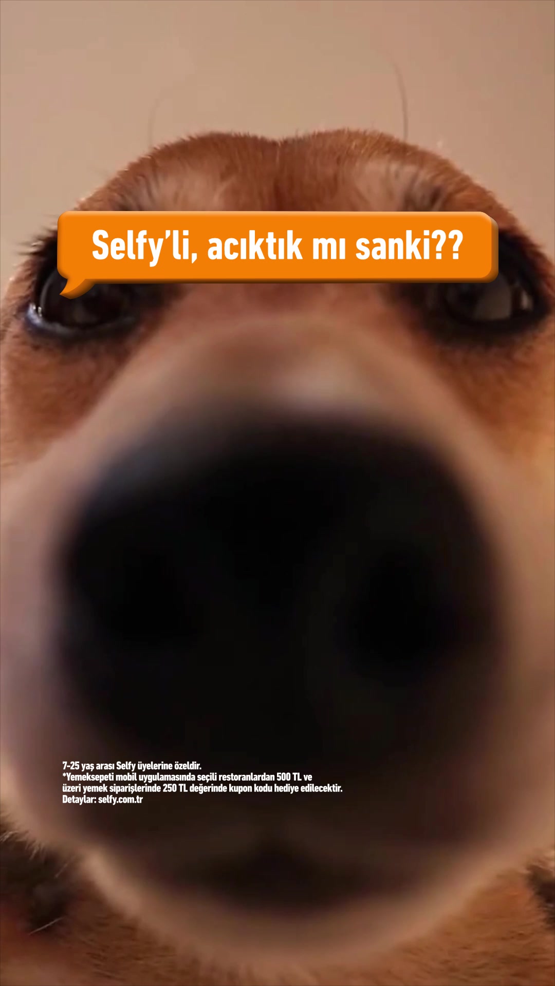 @Selfy