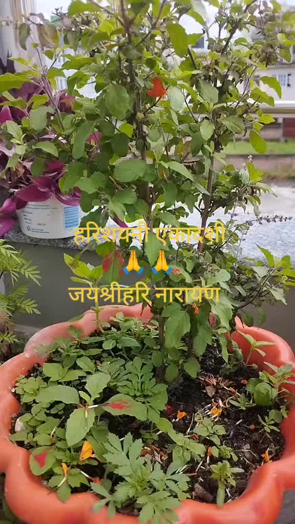 @Dipika ♡