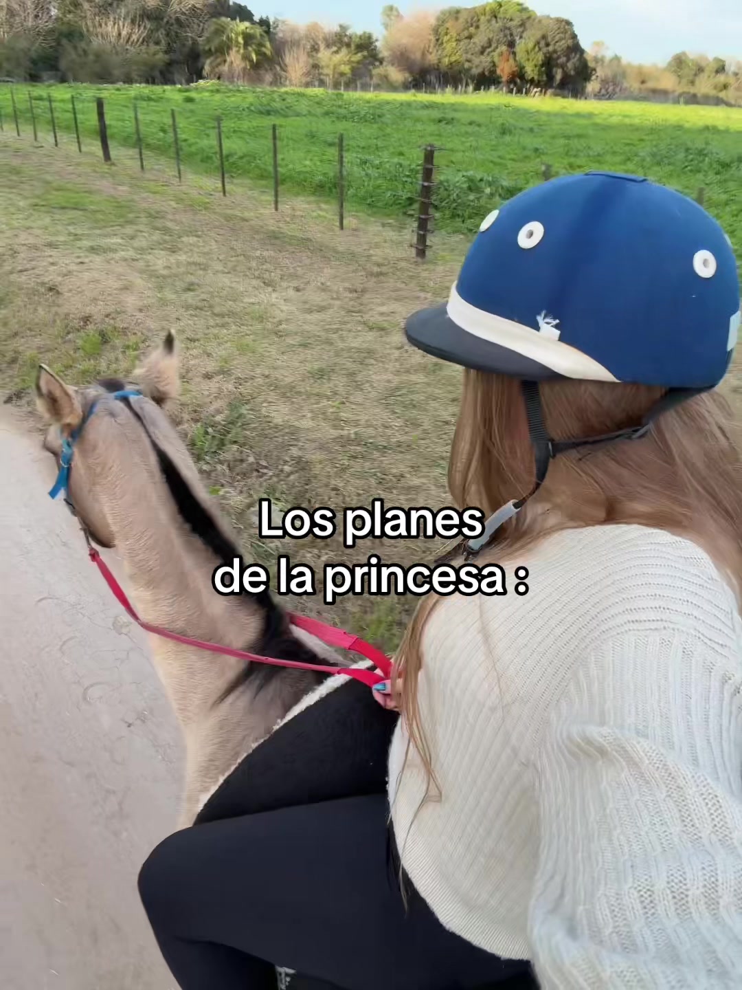 @sofi la rusaa