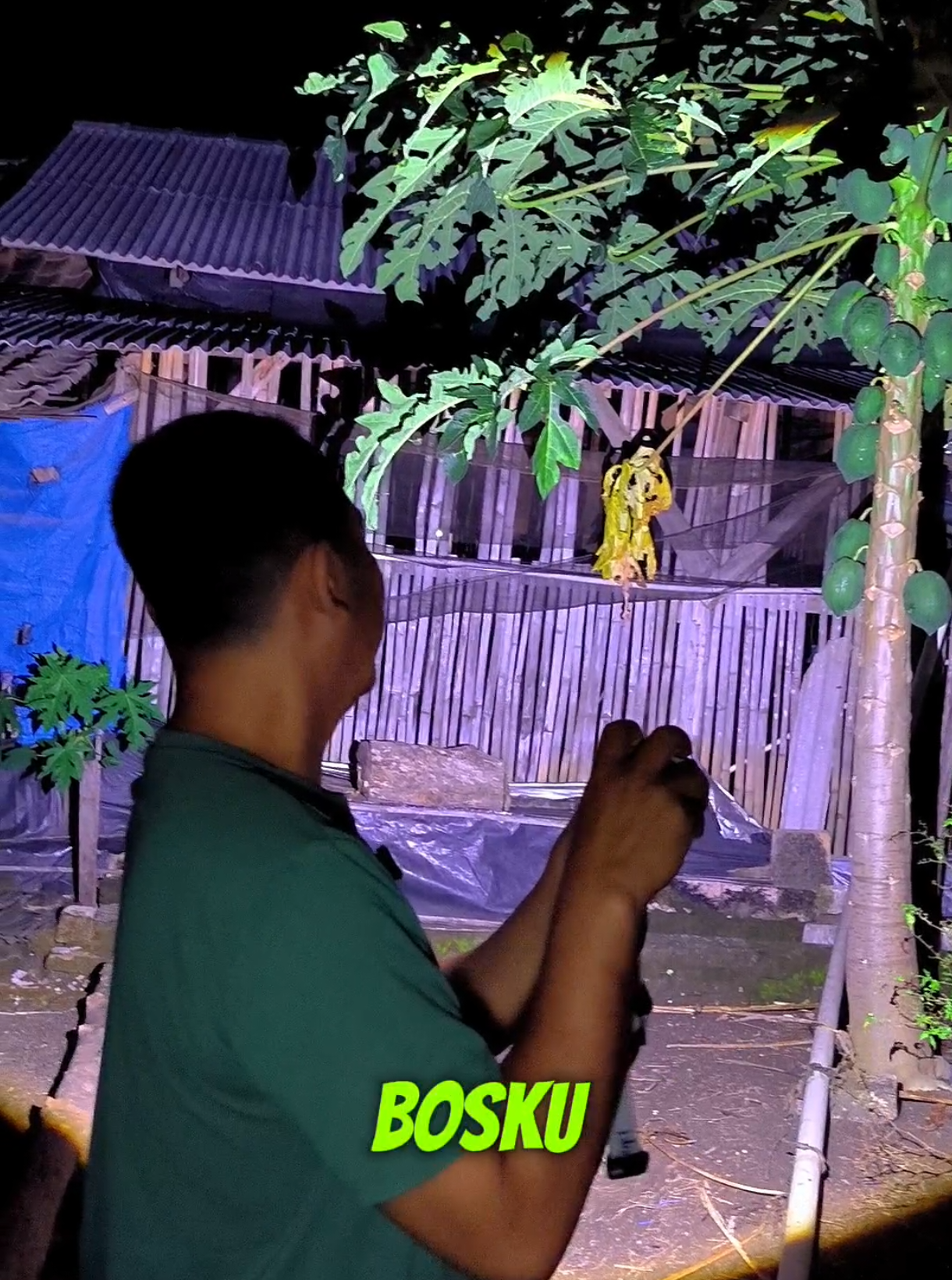 @Bang Kobot