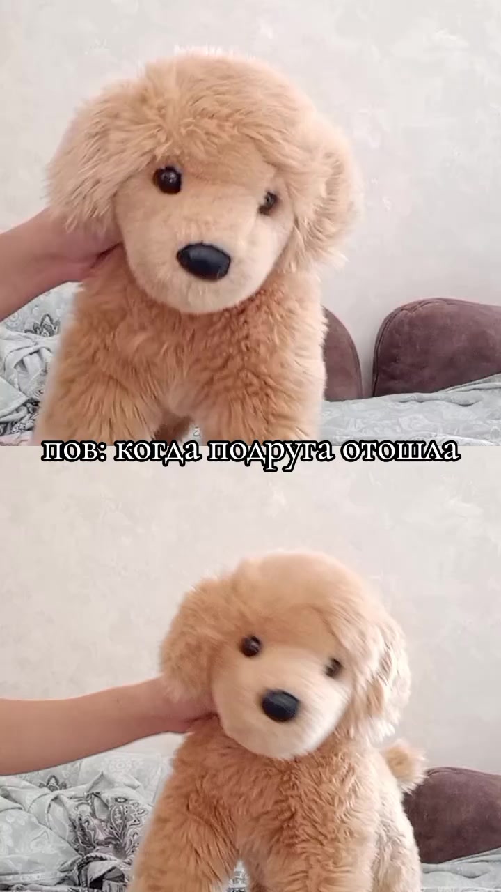 @ᴩозоʙи ᴋᴀйᴧᴀ❀
