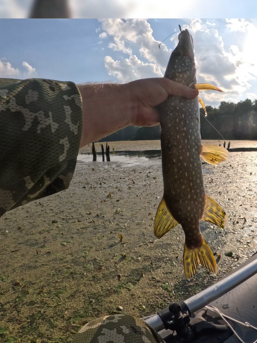 @Колька Рыбак👦🎣