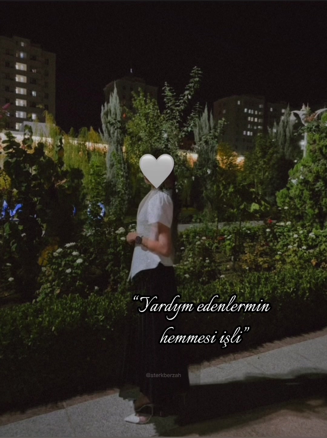 @.🌹