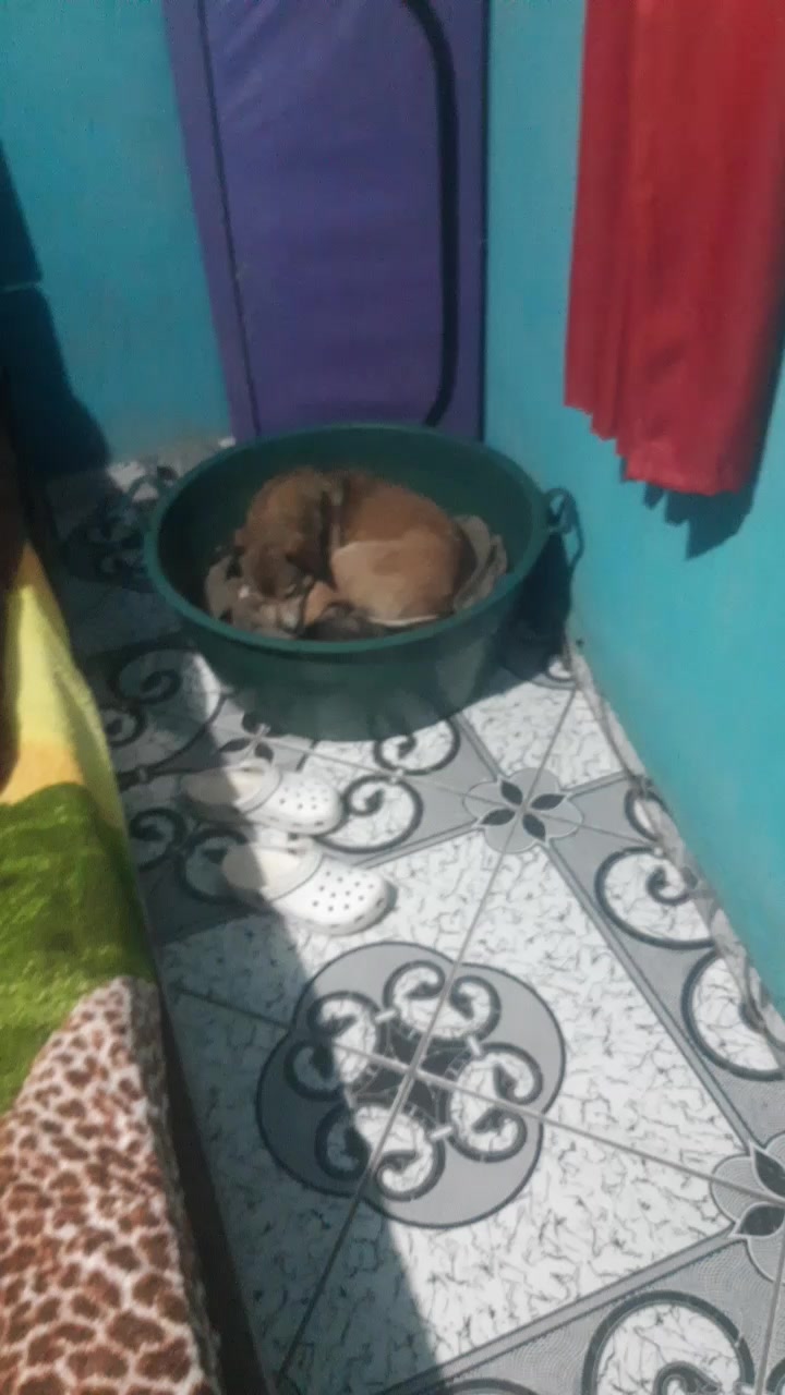 @José Wilson Rodrigues Barbosa