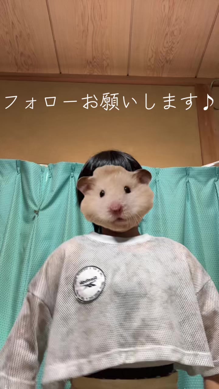 @こっちゃん🐣