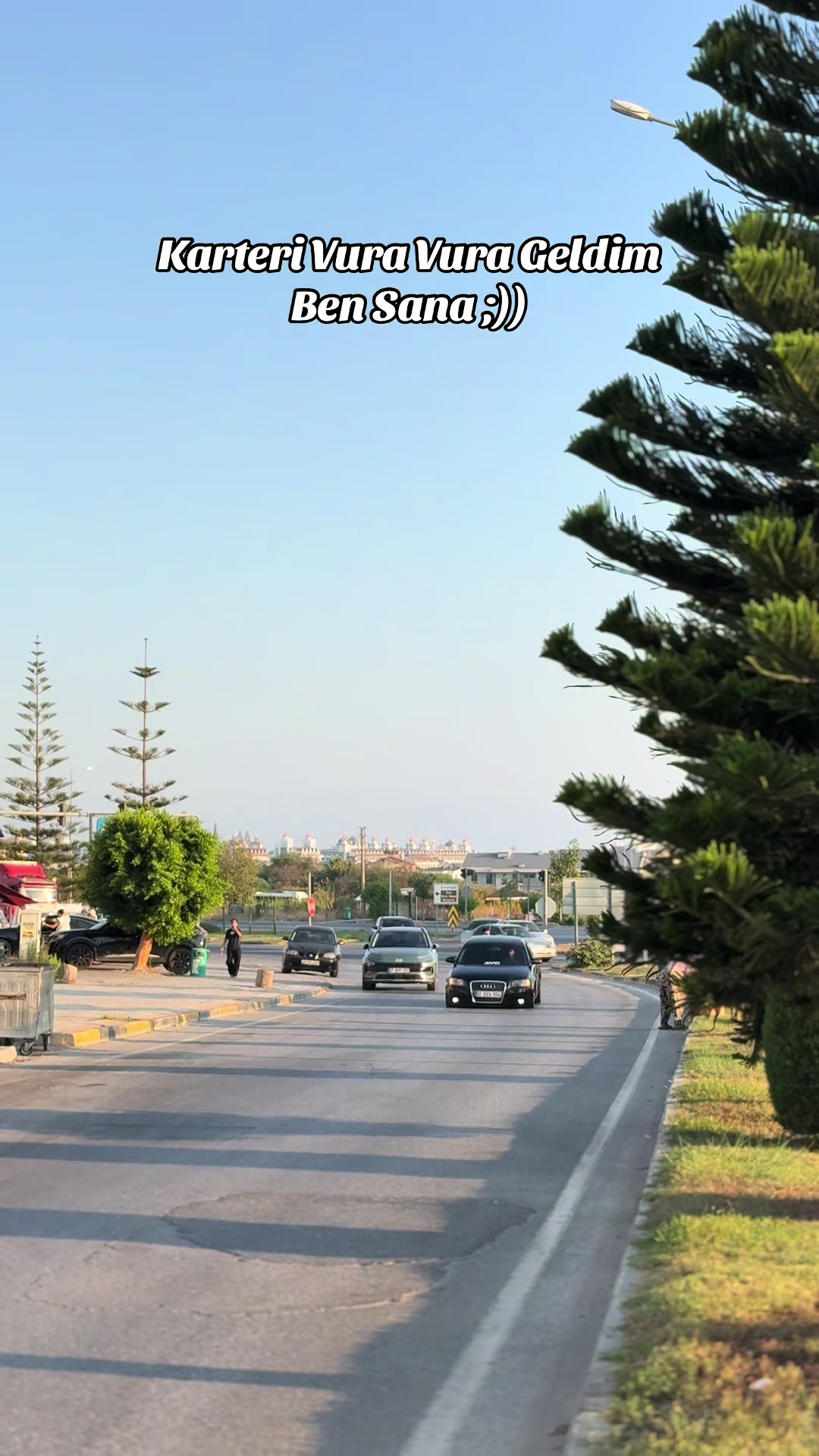 @Reşit Avcı