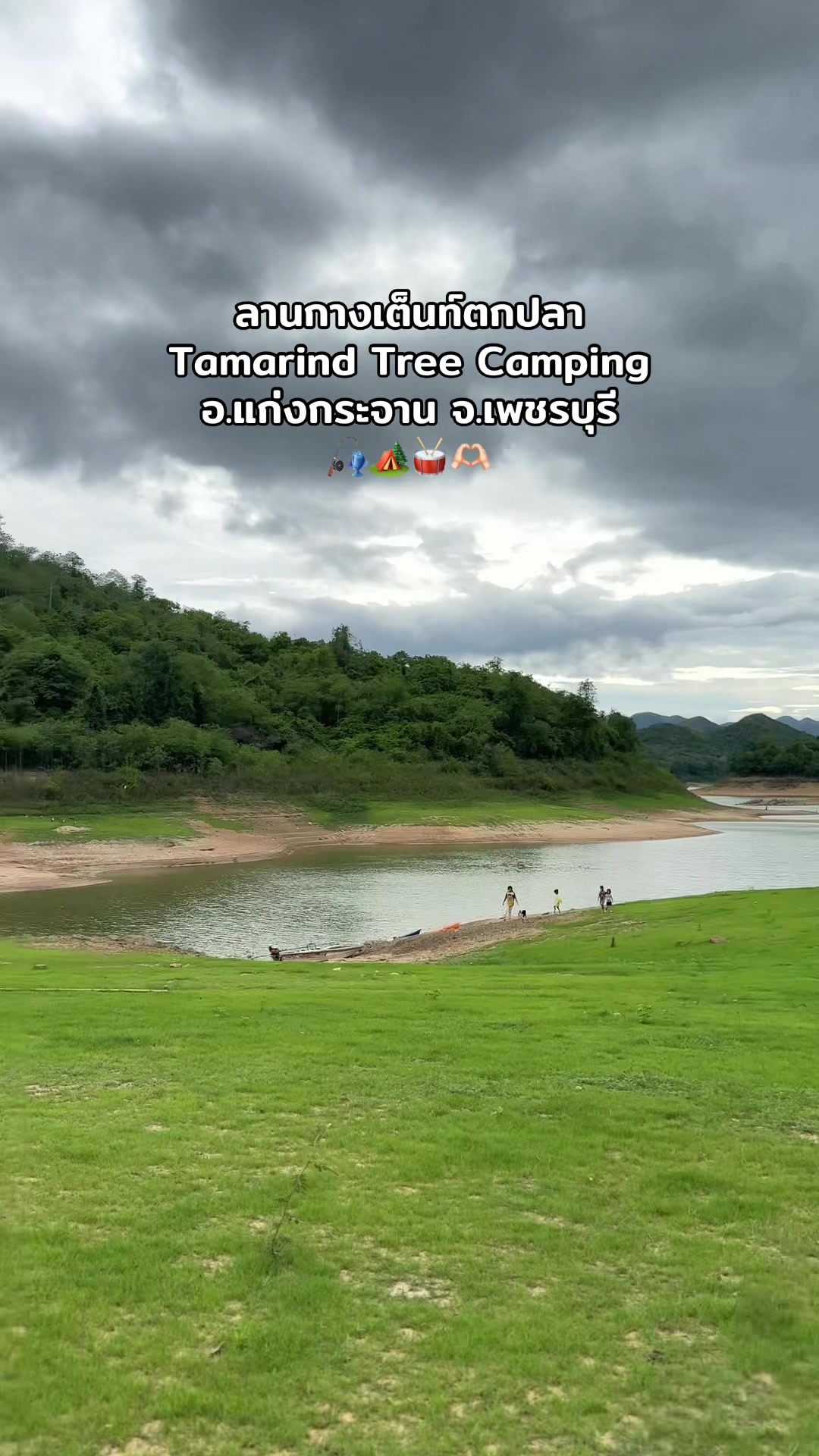 @🌳 Tamarind Tree Camping 🌳