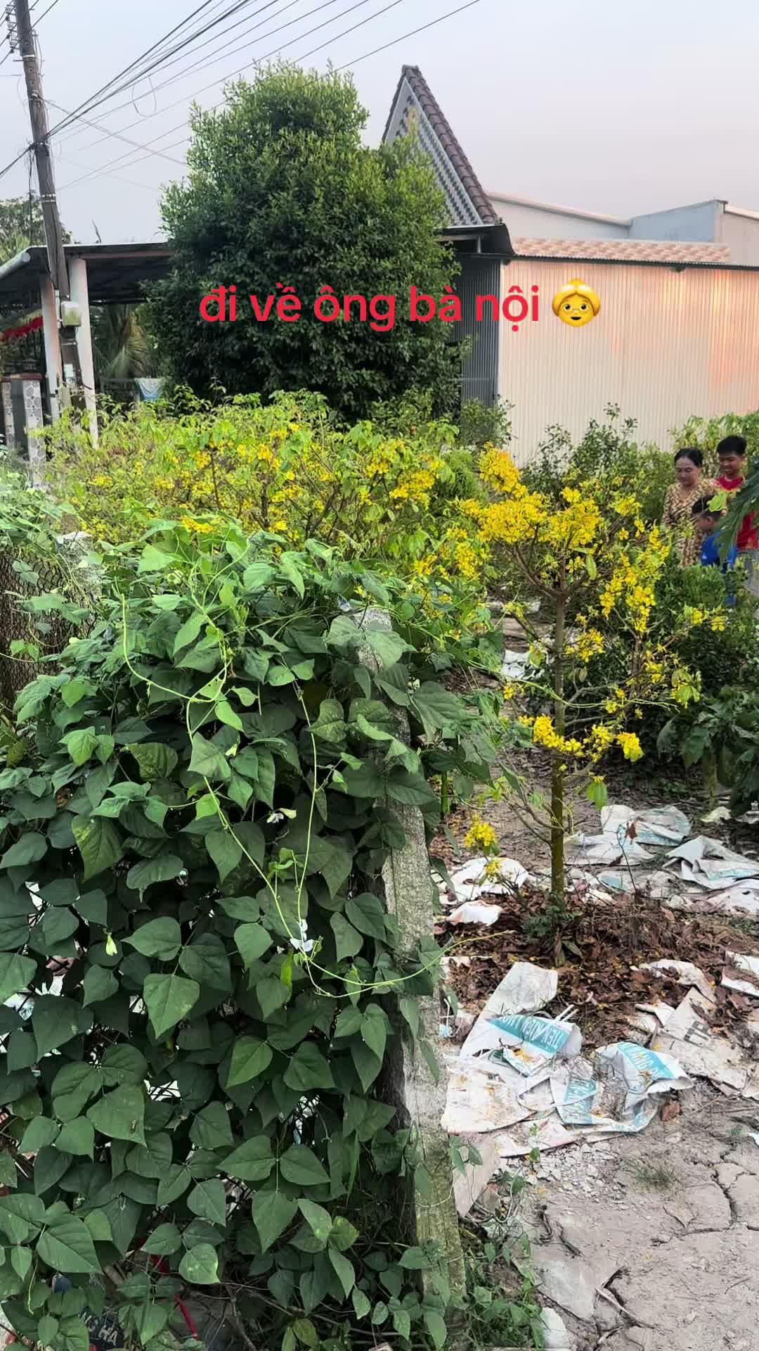 @GIN 📲