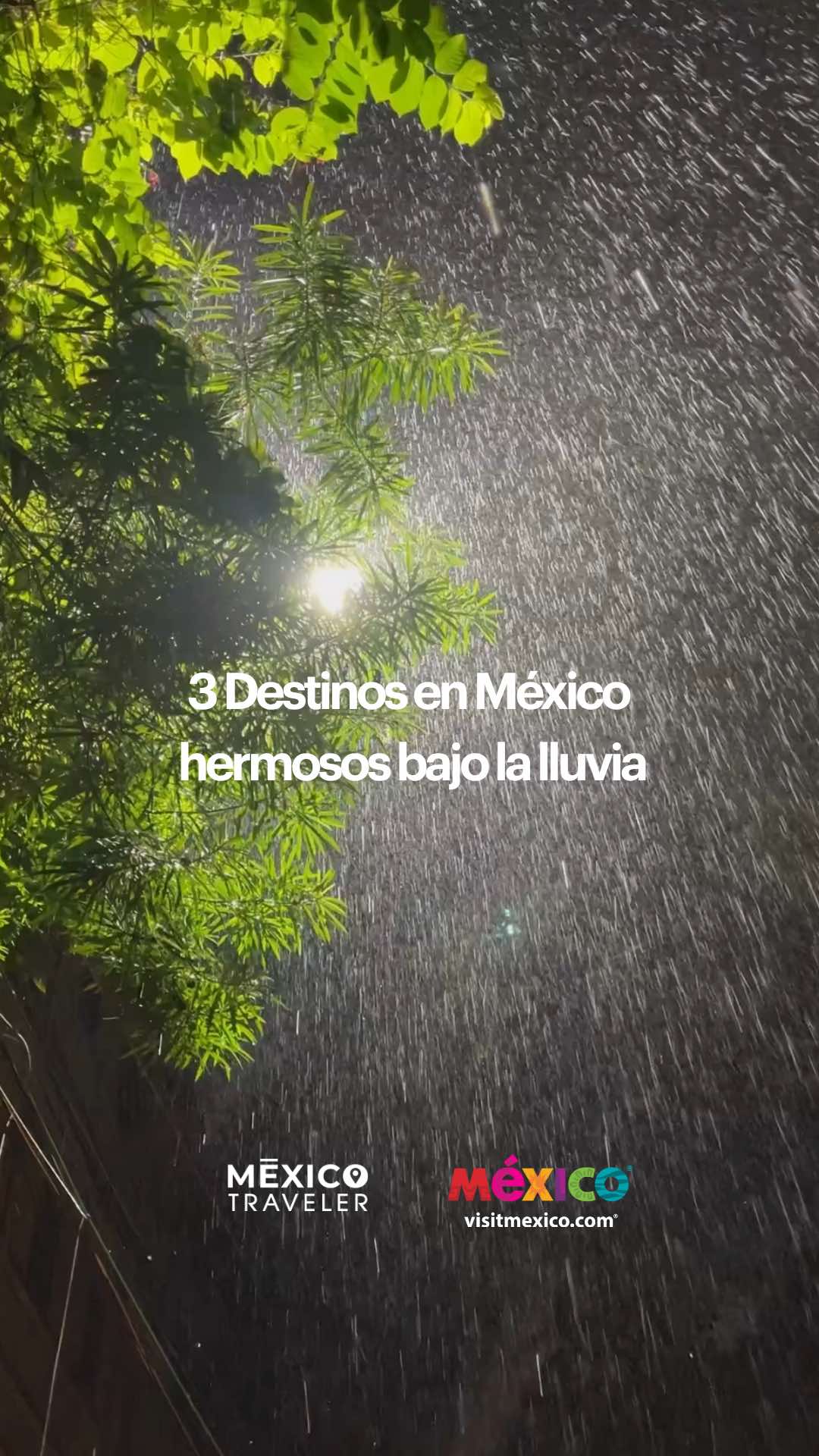 @M&eacute;xico Traveler