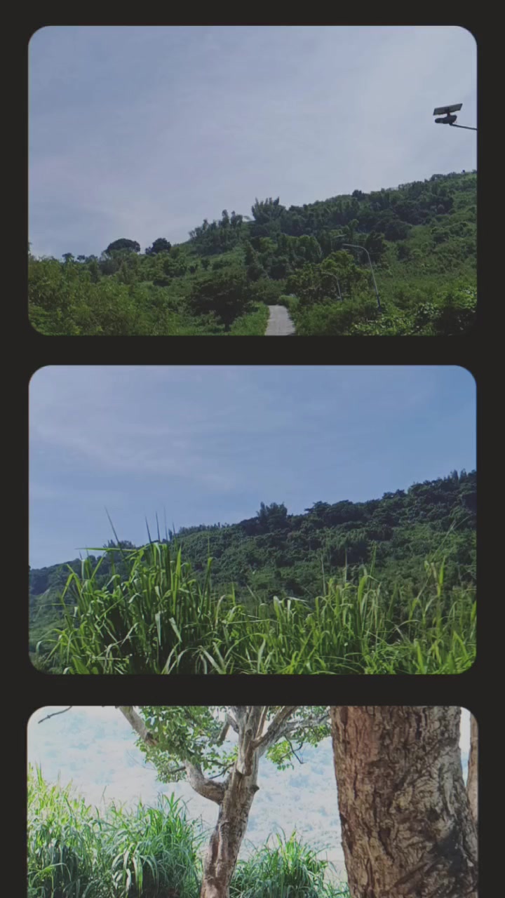 @pl24🔆